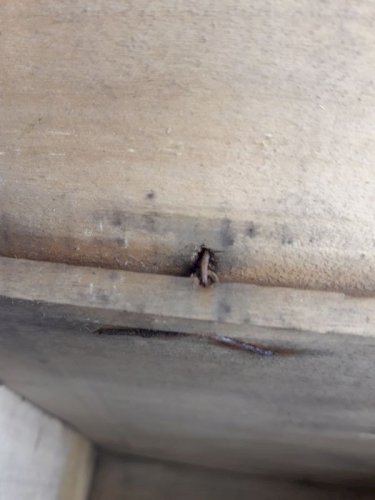 Boite à chapeau, coffret ancien en bois 1900