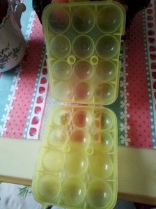 Vintage 1970s egg carton