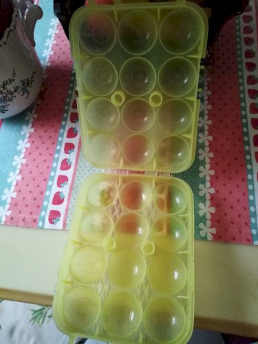 Boîte à œufs vintage année 1970 