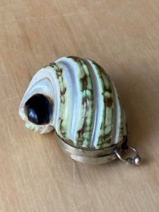 Boite à priser en coquillage escargot de mer