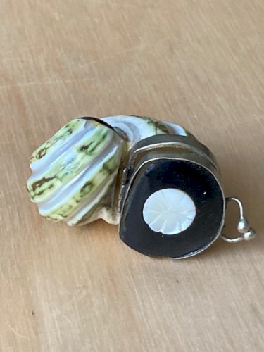Boite à priser en coquillage escargot de mer