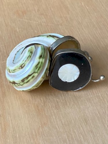 Boite à priser en coquillage escargot de mer