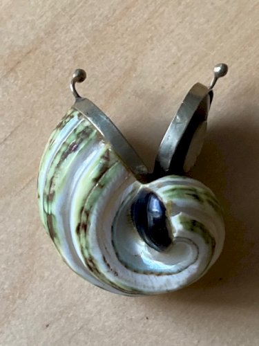 Boite à priser en coquillage escargot de mer