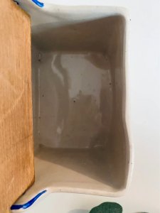 dot