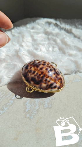 Boite en coquillage pour chapelet  - pilulier