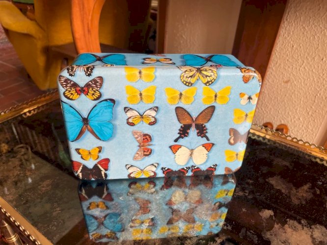Boîte en métal papillons vintage
