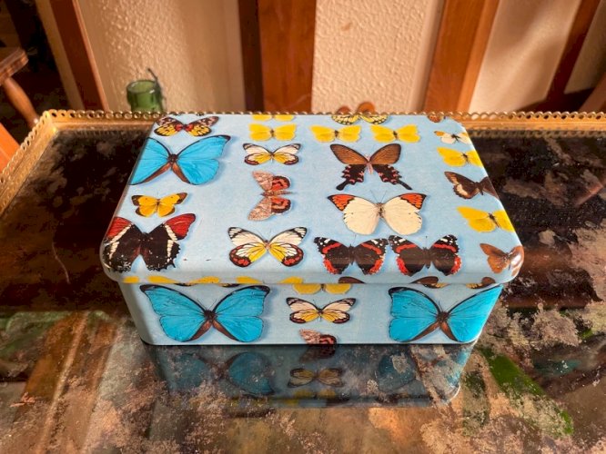 Boîte en métal papillons vintage