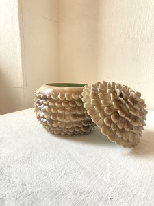 dot