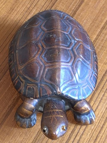 Boite trompe l'oeil tortue en terre cuite yeux en sulfure