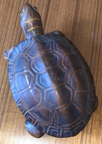 Boite trompe l'oeil tortue en terre cuite yeux en sulfure