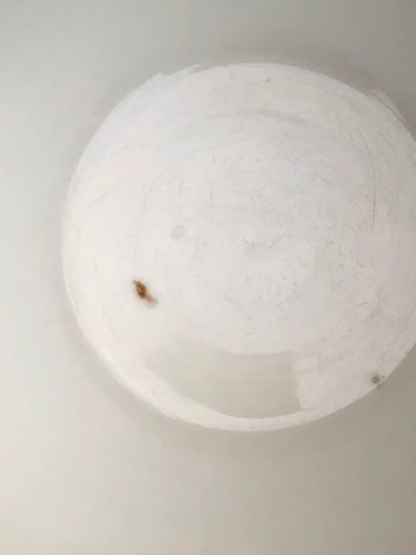 Bol à soupe à oreilles tête de lion rétro vintage en porcelaine