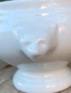 dot