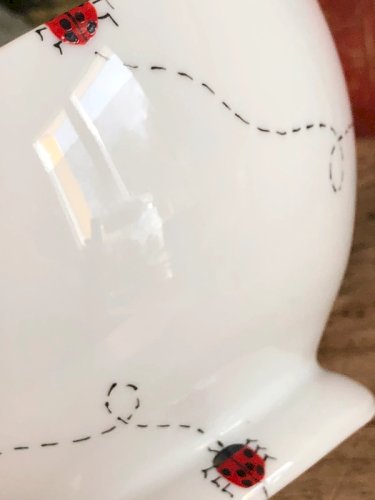 Bol blanc en porcelaine de Limoges motifs coccinelles