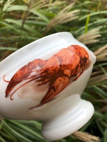 Bols à soupe de poissons en porcelaine Bavaria