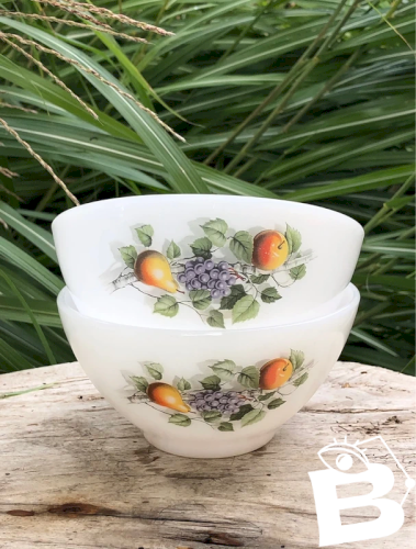 Bols Arcopal motifs fruits