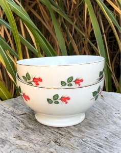 Vintage retro bowls with red rose patterns
