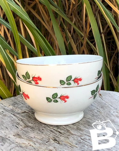 Bols rétro vintage motifs roses rouges