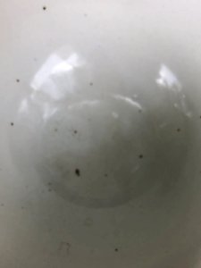 dot