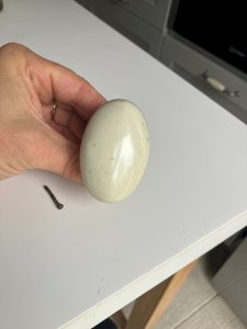 dot