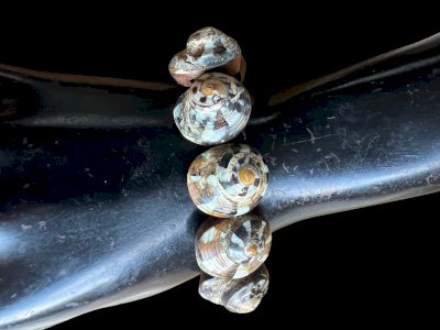 Bracelet vintage bois et coquillages sur élastique collection charme décoratif