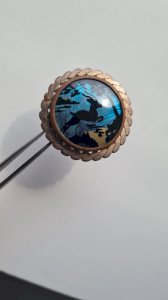 antique brooch with a butterfly wing from the 1920s-1930s