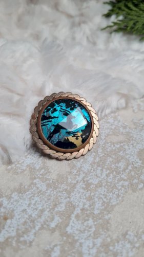 broche ancienne avec une aile de papillon  années 20-30