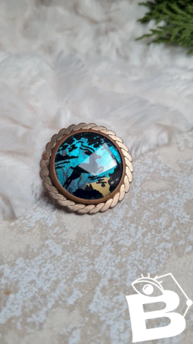 Broche ancienne avec une aile de papillon années 20-30