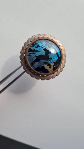Broche ancienne avec une aile de papillon années 20-30