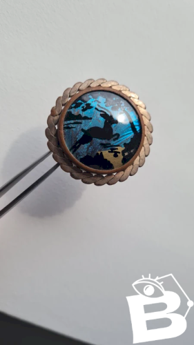 broche ancienne avec une aile de papillon  années 20-30