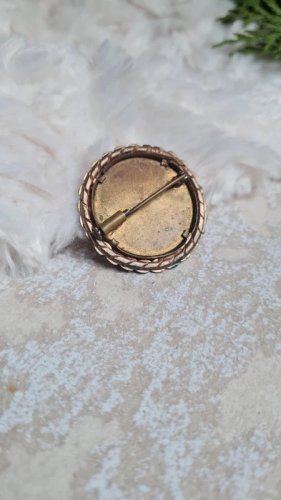 broche ancienne avec une aile de papillon  années 20-30