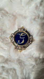 Vintage Bressan enamel brooch letter G