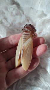 Vintage medium Cicada brooch in horn from the 1940s