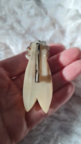 Broche ancienne moyenne Cigale en corne années 40