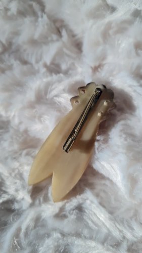 Broche ancienne moyenne Cigale en corne années 40