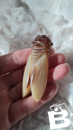 Broche ancienne moyenne Cigale en corne années 40