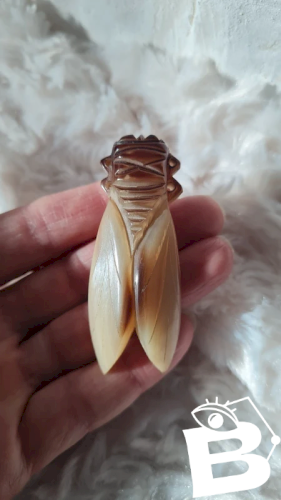 Broche ancienne moyenne Cigale en corne années 40