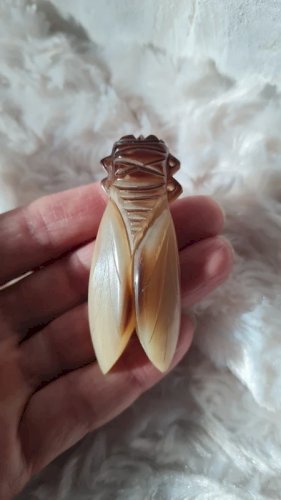 Broche ancienne moyenne Cigale en corne années 40