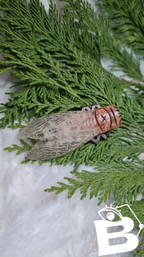 Broche ancienne oversize Cigale en bakélite années 20-30