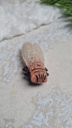 Broche ancienne oversize Cigale en bakélite années 20-30