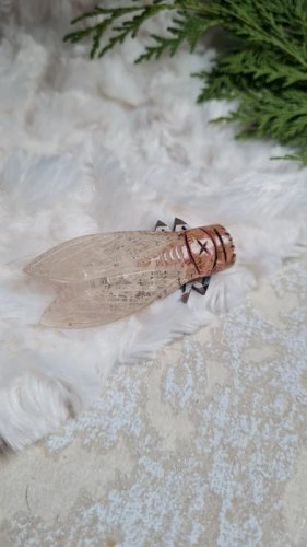 Broche ancienne oversize Cigale en bakélite années 20-30