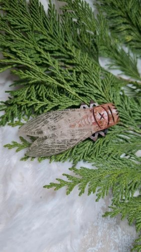 Broche ancienne oversize Cigale en bakélite années 20-30
