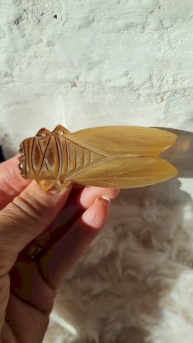 Broche ancienne oversize Cigale en corne années 40