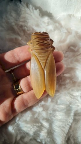 Broche ancienne oversize Cigale en corne années 40