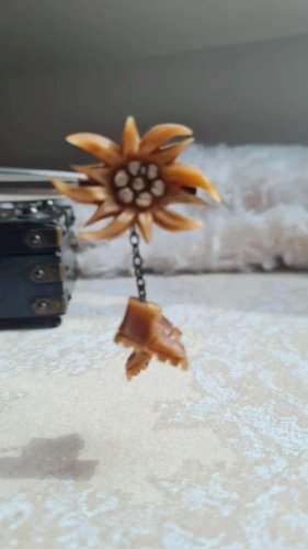 Broche ancienne souvenir edelweiss