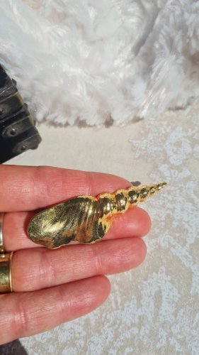 Broche coquillage Marie Puisais