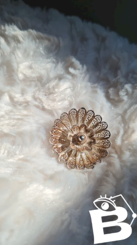 Broche en argent fleur en filigrane