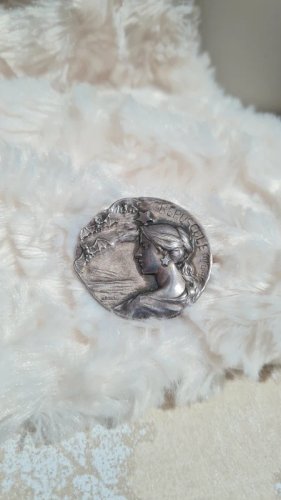 Broche Rare Art Nouveau Crépuscule signée Armand Bargas en métal argenté