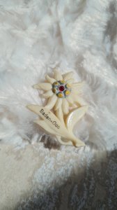 Broche vintage en celluloïd souvenir années 50/60 fleurs edelweiss