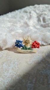 Broche vintage en celluloïd souvenir années 50/60 fleurs edelweiss
