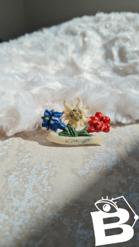 Broche vintage en celluloïd souvenir années 50/60 fleurs edelweiss